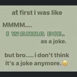 Meet your Posher, Dylan